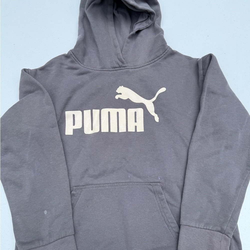 Puma Gray Hoodie